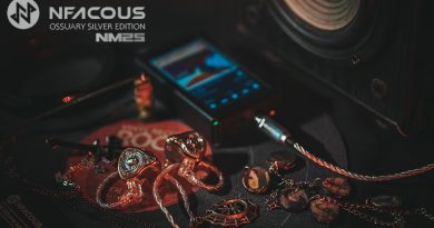 NF ACOUS NM25 Ossuary Silver Edition – handcrafted piece of art, derivative of the solid audio performer.