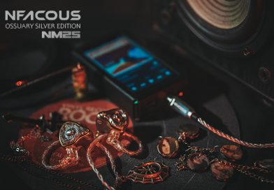 NF ACOUS NM25 Ossuary Silver Edition – handcrafted piece of art, derivative of the solid audio performer.